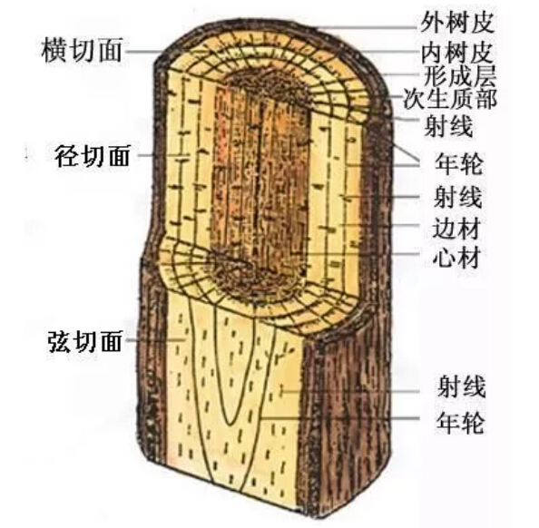 實(shí)木家具有色差正常嗎！實(shí)木家具色差有原因！