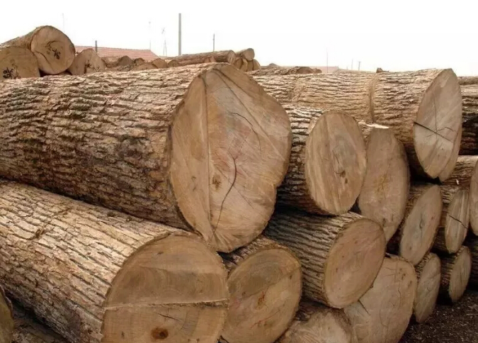 還在問實(shí)木家具哪種木材好？實(shí)木家具如何挑選？