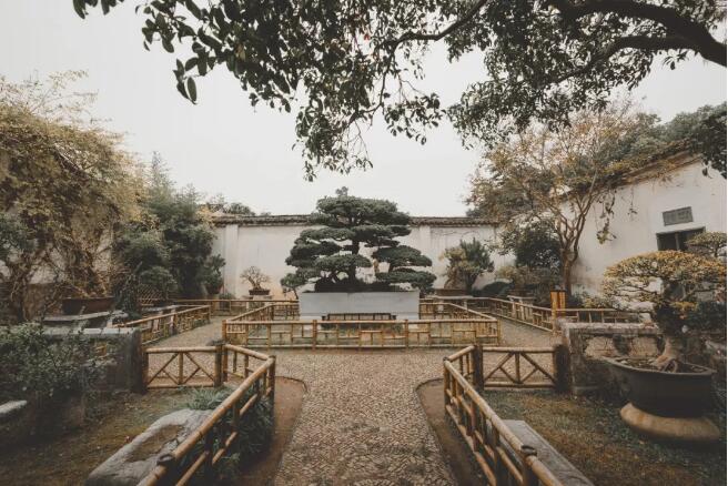 中國人的家居美學(xué)離不開實(shí)木家具的裝點(diǎn)