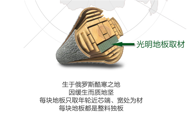實木地板價格該與其他材質(zhì)地板的原因