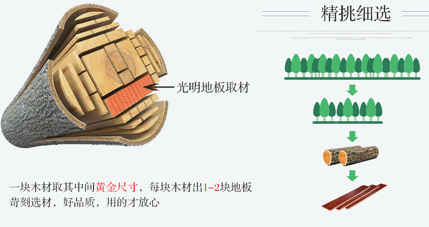 你了解實(shí)木地板嗎？不了解實(shí)木地板怎么敢去買！