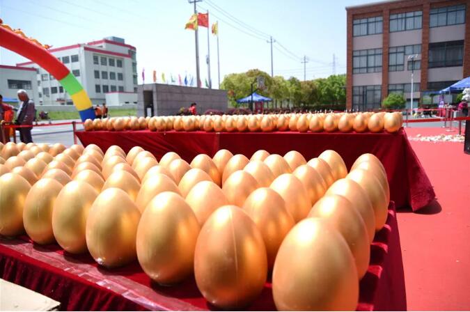 春光為媒 預鑒新家｜光明家具2021春季家裝工廠行圓滿收官！