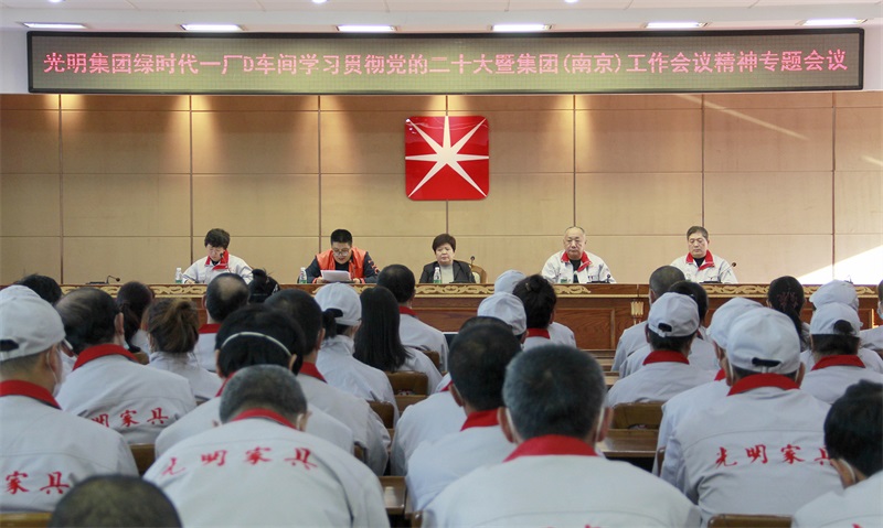 綠時(shí)代一廠D車間、電商公司、伊春公司召開學(xué)習(xí)貫徹黨的二十大暨集團(tuán)（南京）工作會議精神專題會議
